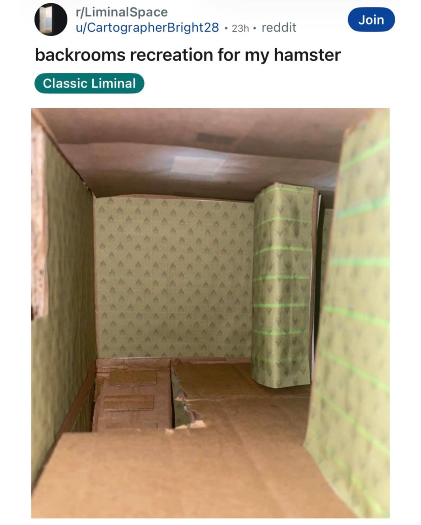 Homemade miniature cardboard recreation of the internet Backrooms creepy creepypasta maze built for a hamster.