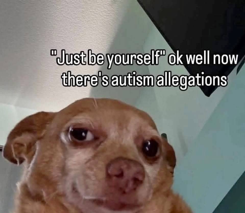 Close up of a concerned chihuahua face with text joke about autism allegations.