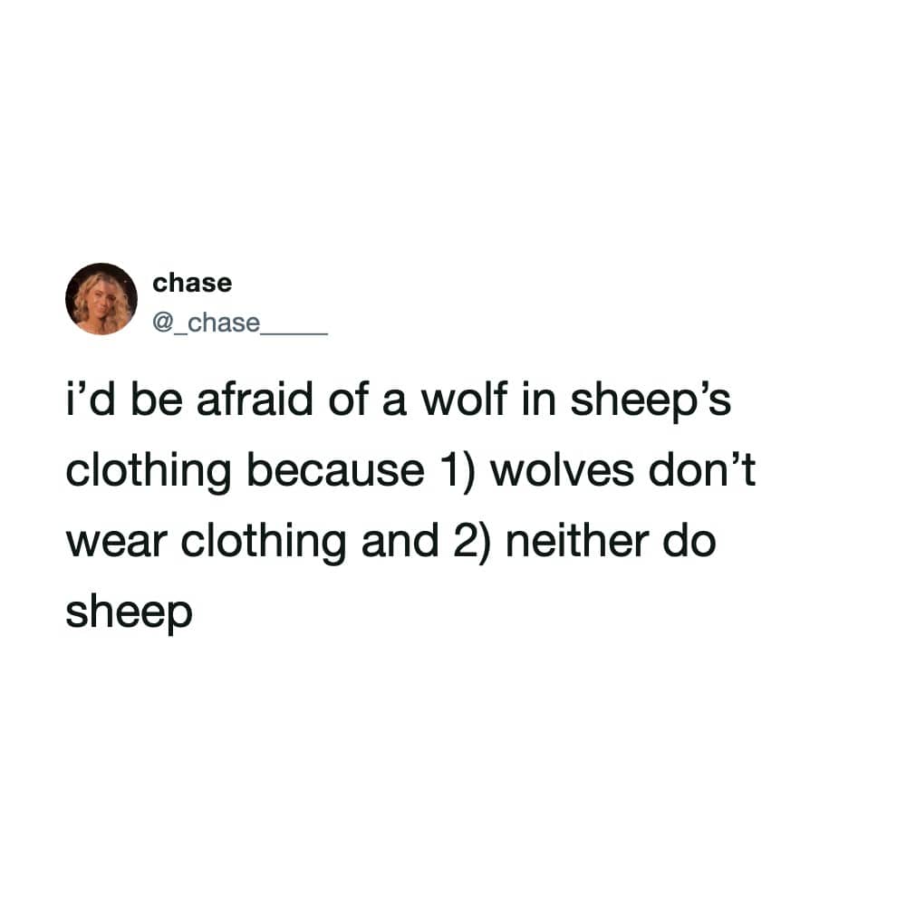 Humorous philosophical text observation about why a wolf in sheep's clothing makes no literal sense.