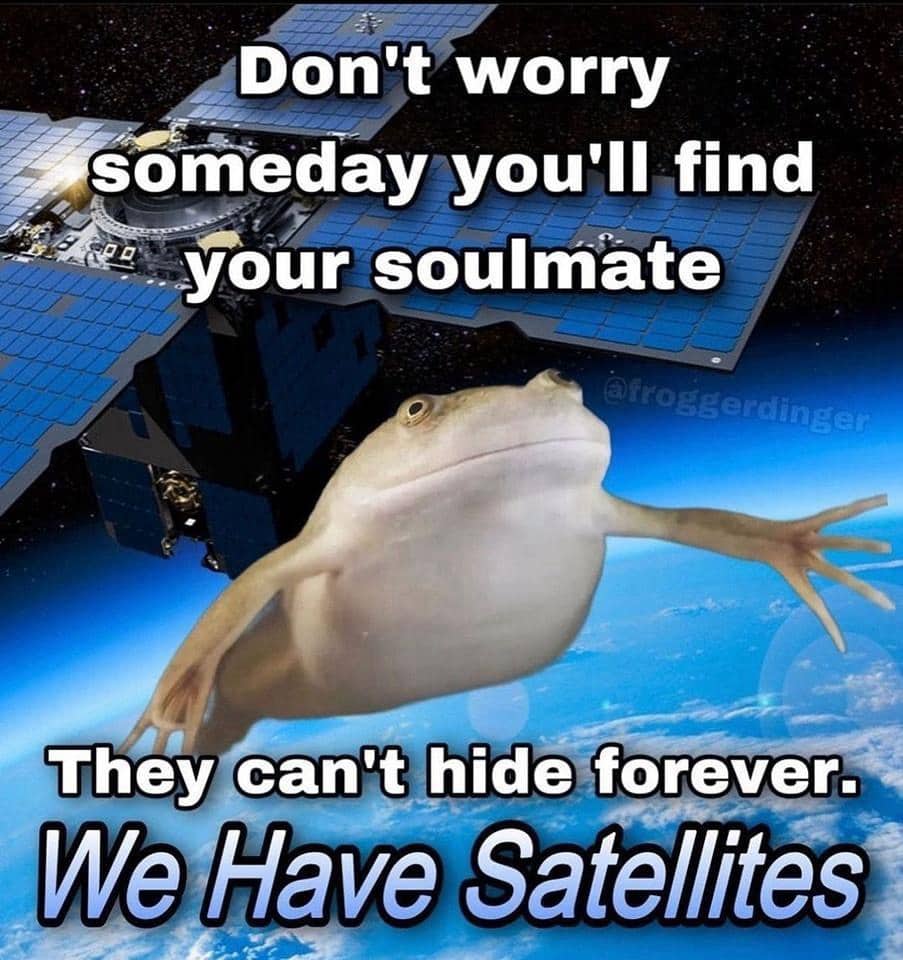 Funny space meme featuring a frog floating in orbit next to a satellite with text.