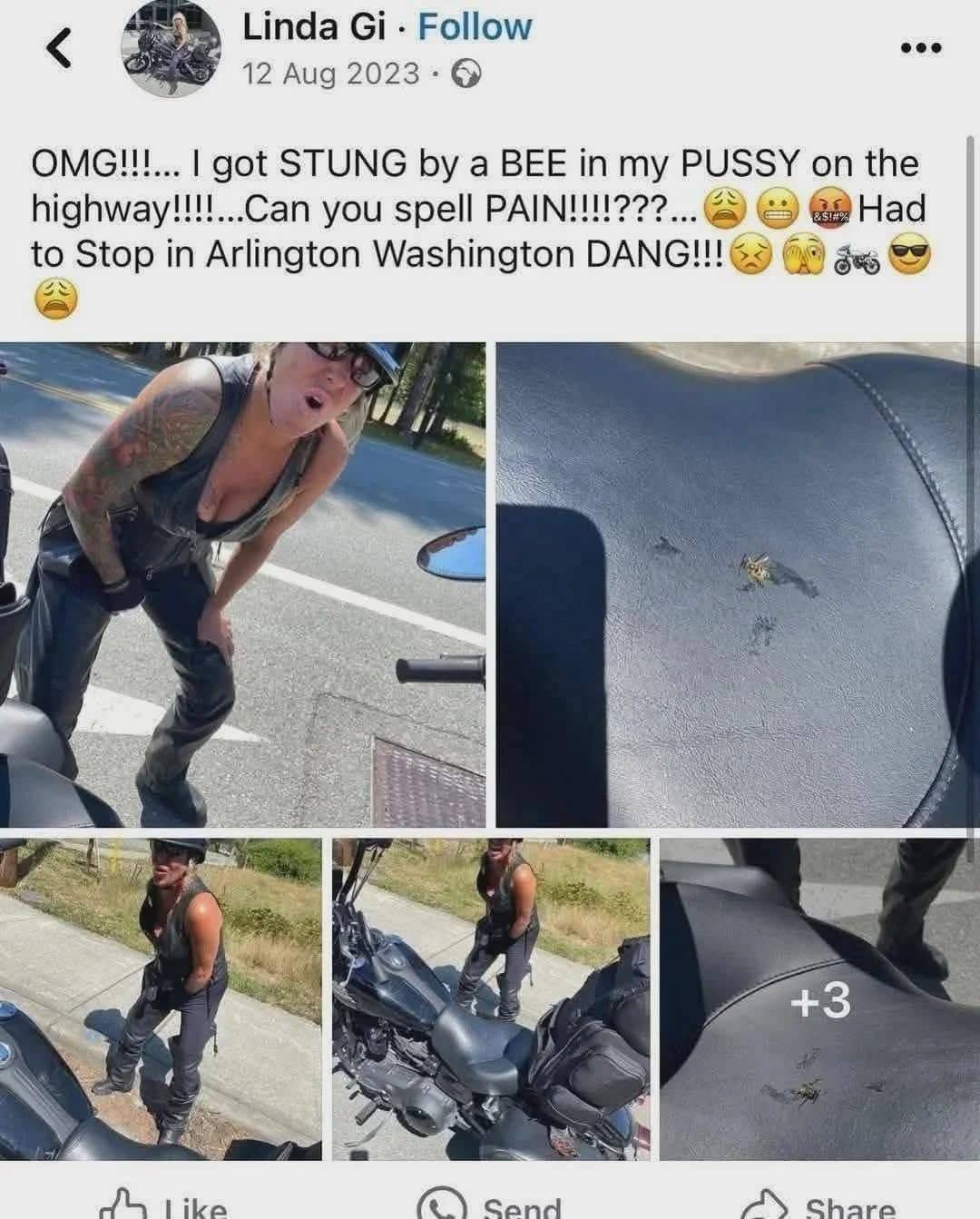 Facebook post screenshot of a female motorcyclist describing getting stung by a bee while riding.