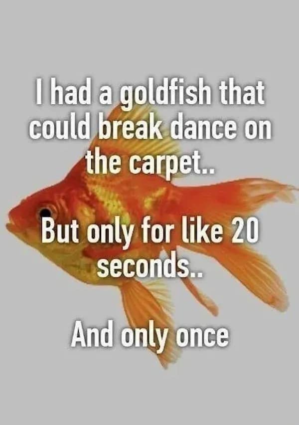 Side profile image of a goldfish swimming with dark text making a dark joke.