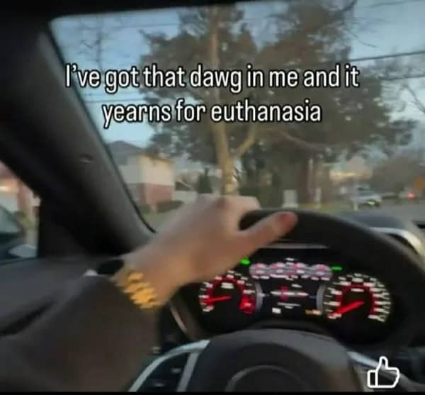 First person view of a driver holding steering wheel with dark existential joke text overlay.