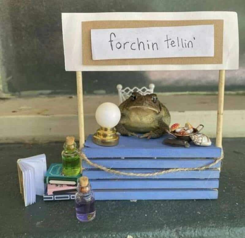 A real frog sitting at a tiny handmade booth with a sign reading forchin tellin.