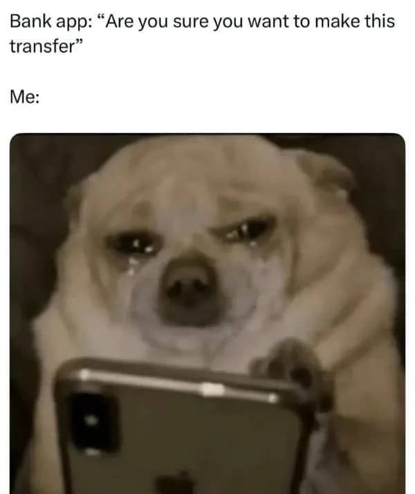 Crying chihuahua looking closely at a smartphone screen reacting to a banking app alert.