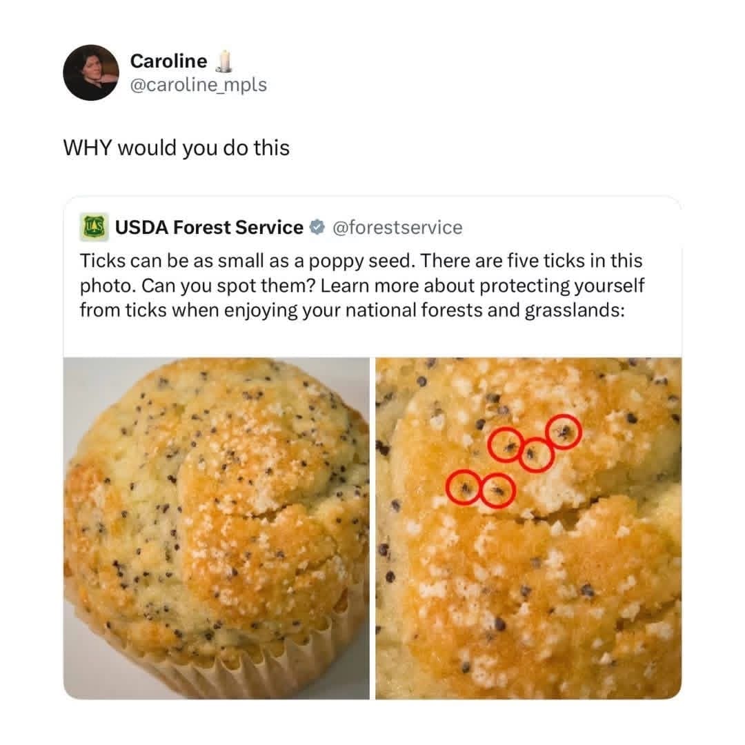 USDA Forest Service PSA showing five tiny ticks hidden on a lemon poppy seed muffin.