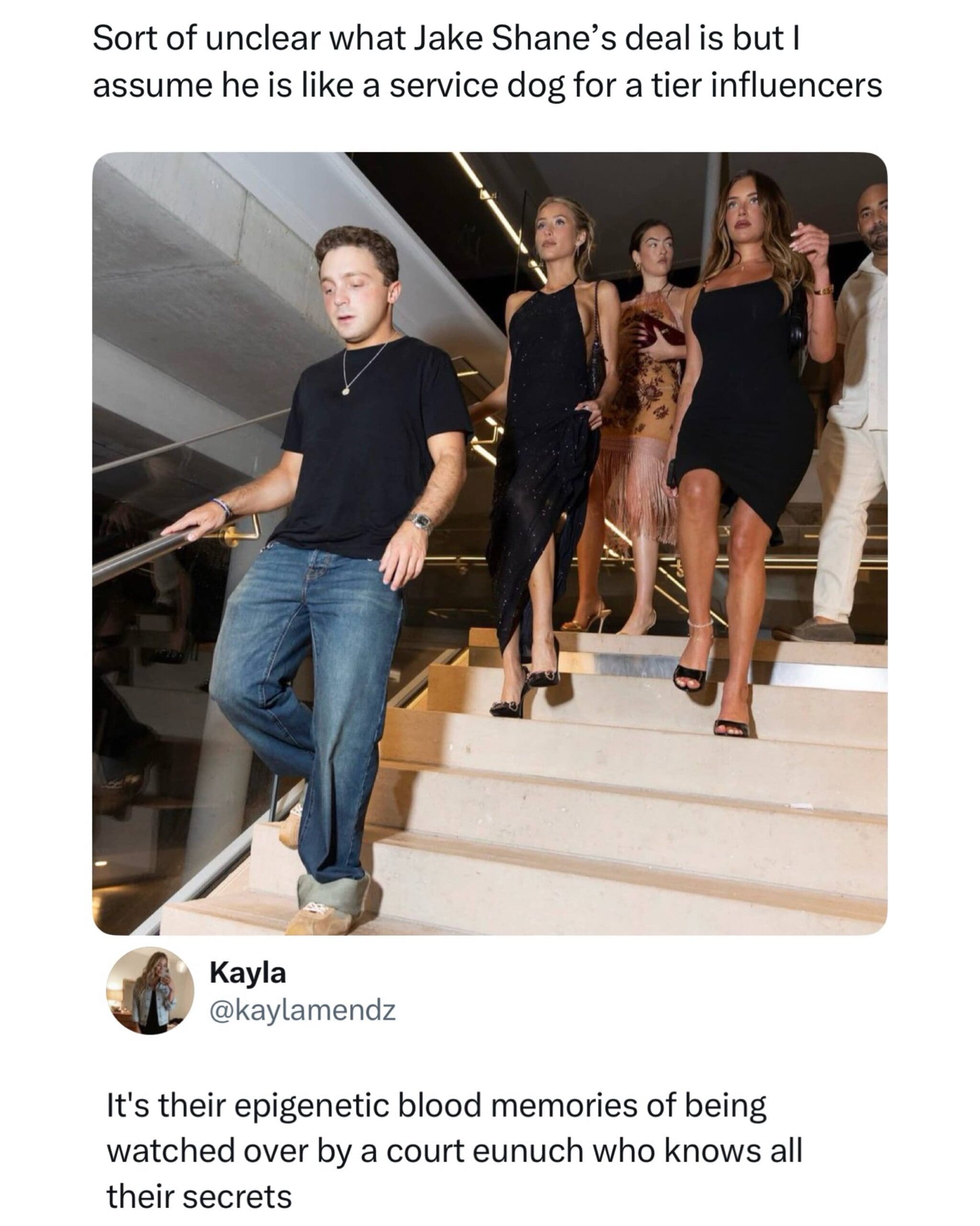 Influencer Jake Shane walking down stairs ahead of a group of women funny social commentary meme.
