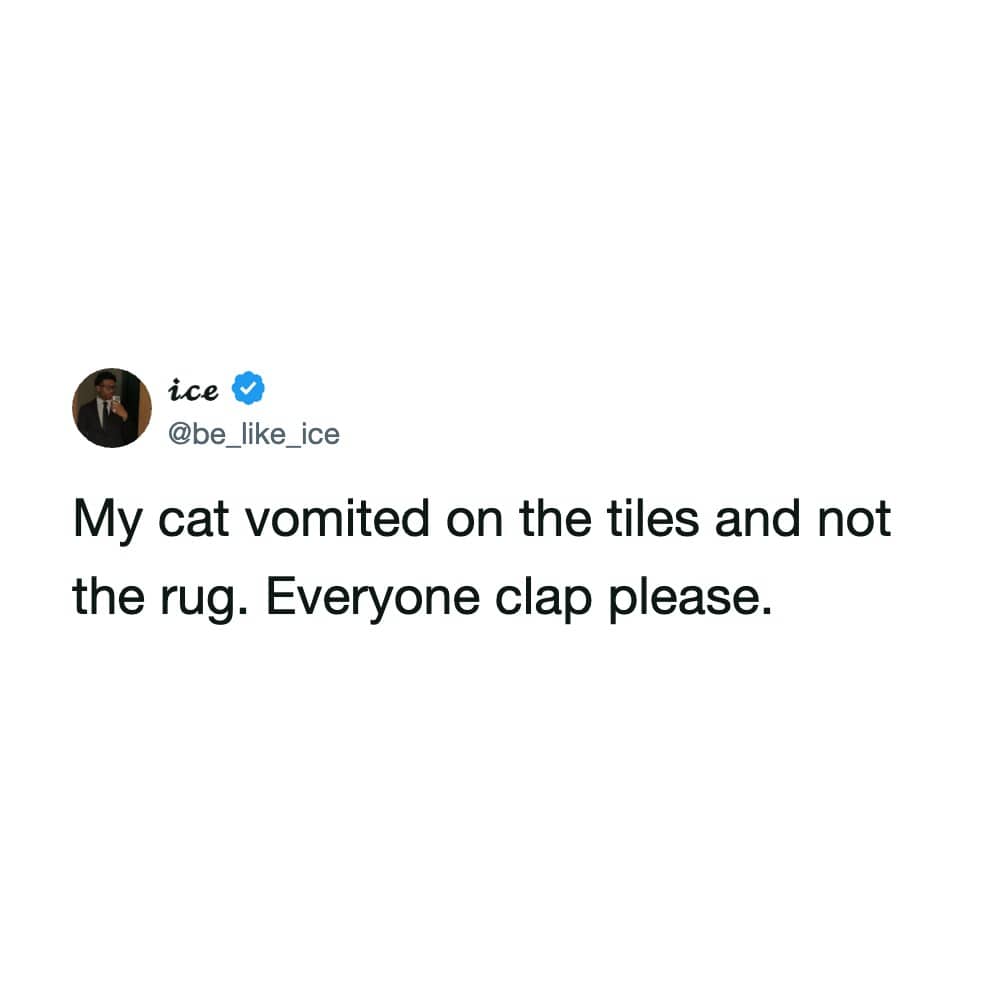 Sarcastic text post celebrating a pet cat vomiting on floor tiles instead of a fabric rug.