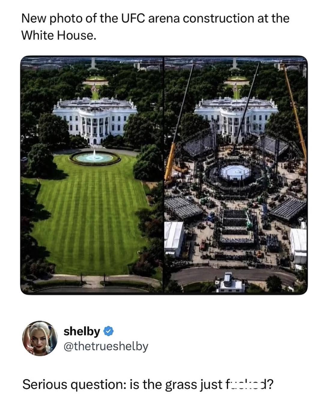 Satirical tweet comparing pristine White House lawn to a heavily constructed UFC fighting arena layout.