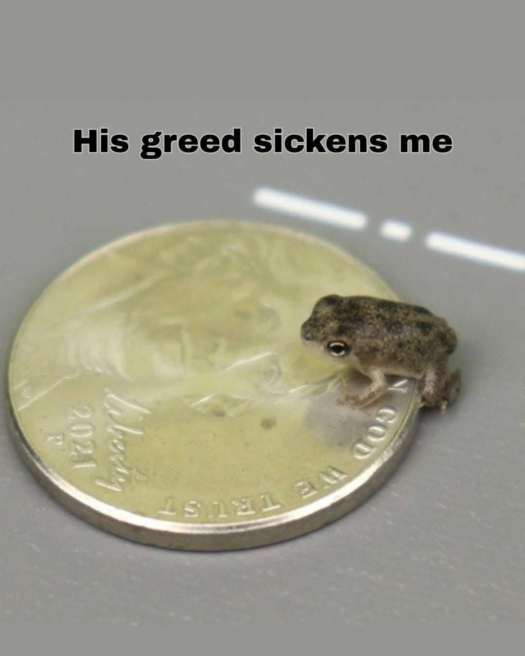 Tiny frog sitting on a silver United States nickel coin with text reading his greed sickens me.