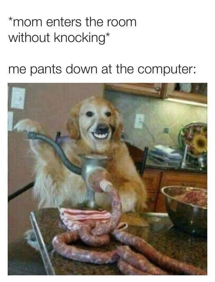 A smiling golden retriever dog next to a sausage grinder tool with funny caption text.