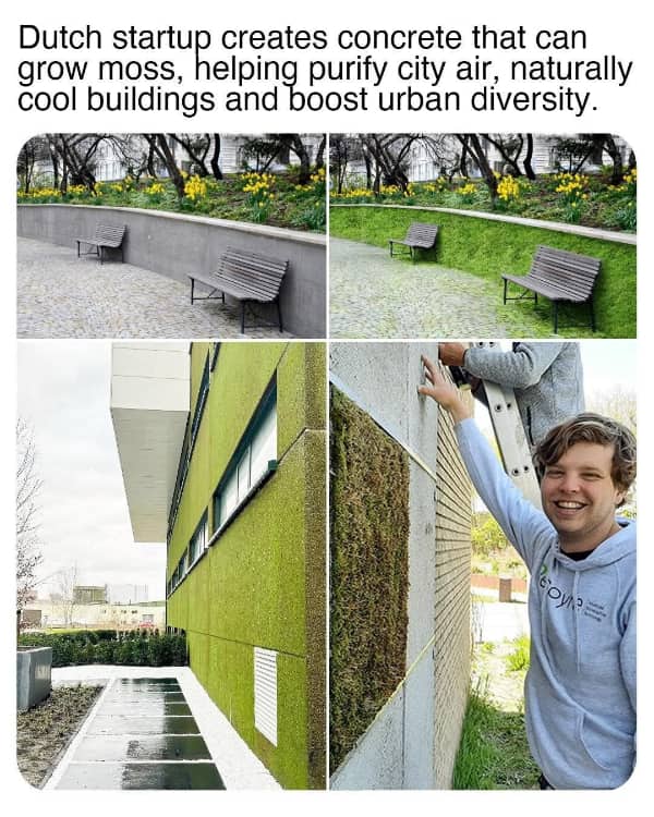 A four-panel image showcasing a new Dutch concrete startup that allows moss growth.