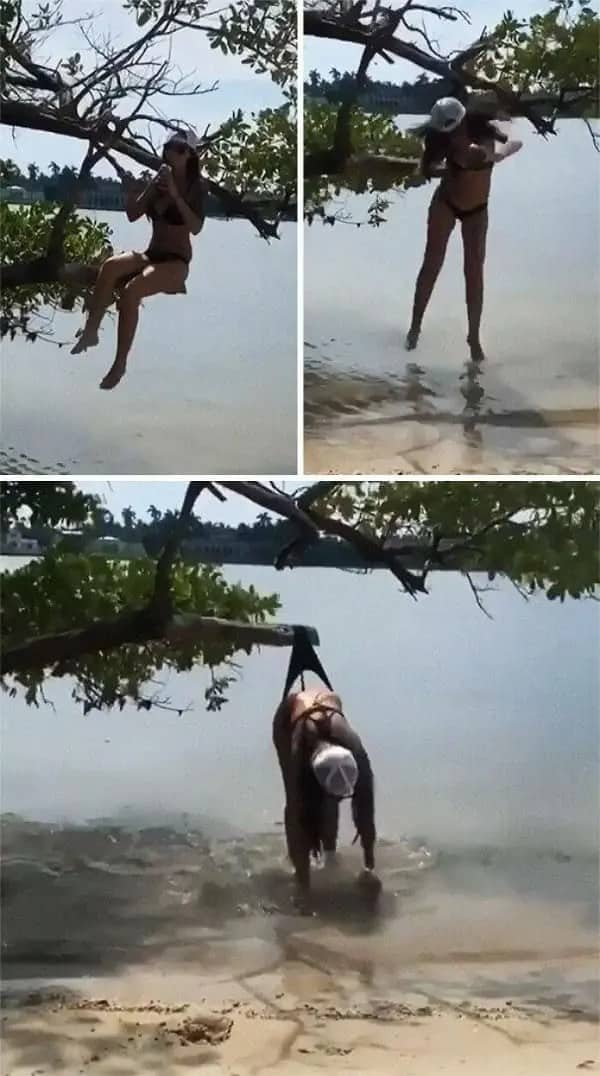 Three-panel sequence of a woman sitting on a low tree branch and getting caught by her swimsuit.