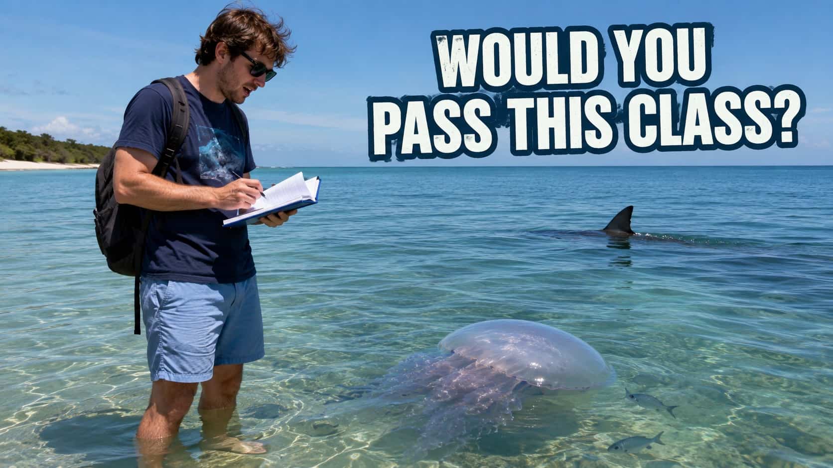 Man standing in shallow water with jellyfish and shark fin, representing funny ocean memes.