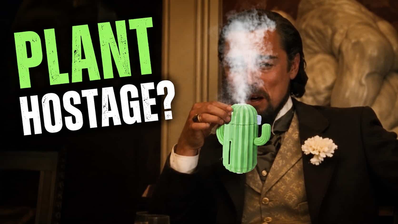 Leonardo DiCaprio holding smoking cactus toy in memes about plants gallery.