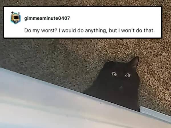 A black cat peeking out from behind a white wall with wide glowing eyes.