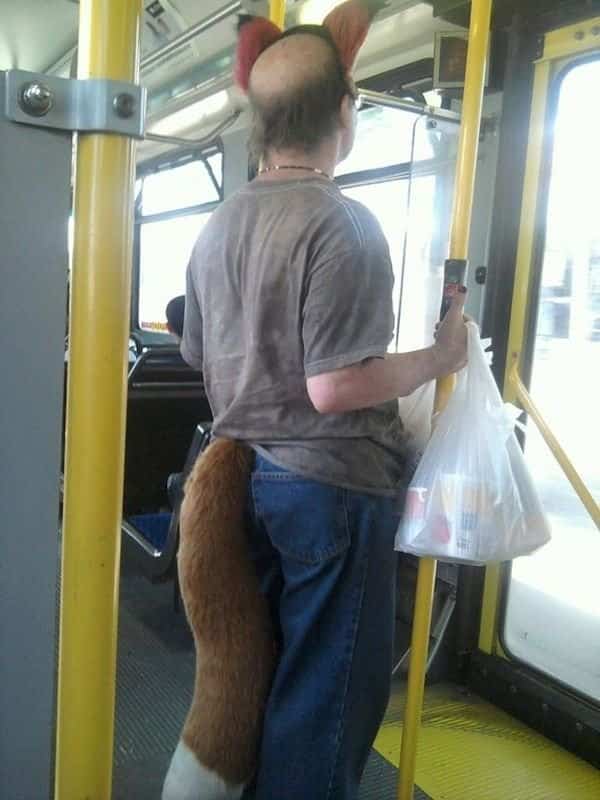 Passenger on a public bus wearing fox ears and a giant furry tail for public transit memes.