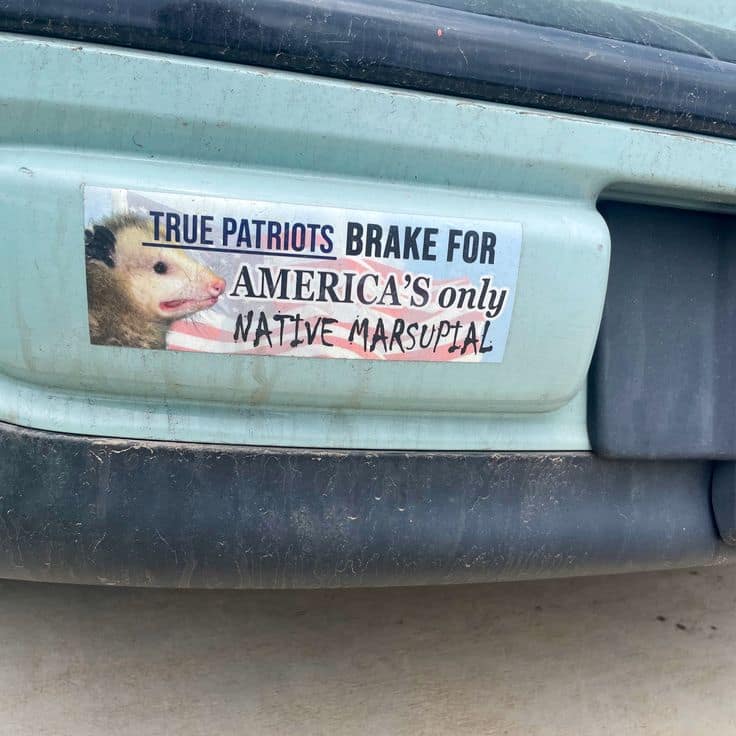 A patriotic classic meme template showcases a close-up photograph of a bumper sticker slapped onto a light green vehicle. The sticker features a wide-eyed opossum over an American flag with text that reads: "TRUE PATRIOTS BRAKE FOR AMERICA'S only NATIVE MARSUPIAL."