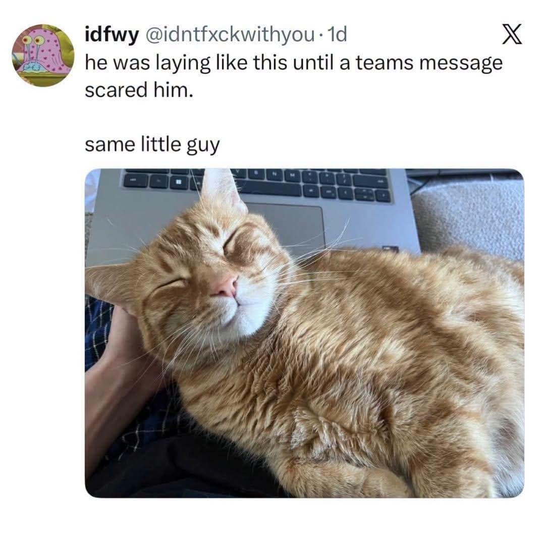 Centered on remote work stress, this classic meme shows a screenshot of a trending X post about home office anxieties. The post text reads, "he was laying like this until a teams message scared him. same little guy," accompanied by a photo of an adorable orange tabby cat looking completely peaceful and smiling with closed eyes next to a silver laptop.