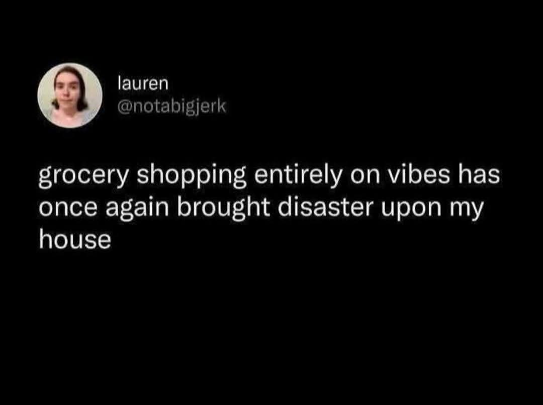 A viral text-only classic meme displays a high-contrast screenshot of a tweet by user lauren (@notabigjerk) about reckless domestic shopping habits. The deadpan message on a pitch-black background reads: "grocery shopping entirely on vibes has once again brought disaster upon my house."
