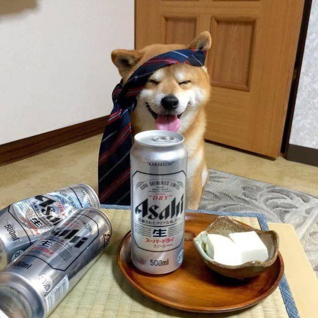 A joyful Shiba Inu wearing a necktie headpiece celebrates with beers in cool animals.