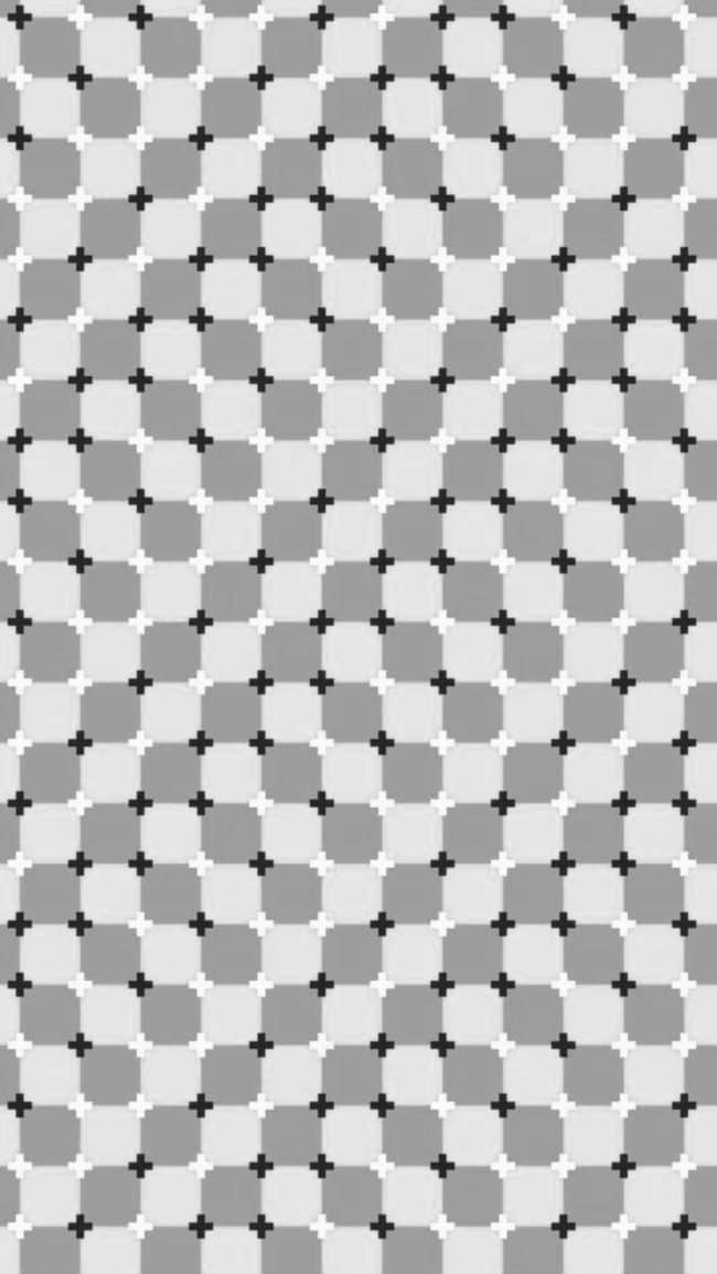 A black, white, and gray checkered grid pattern with small cross marks that appear to wave.
