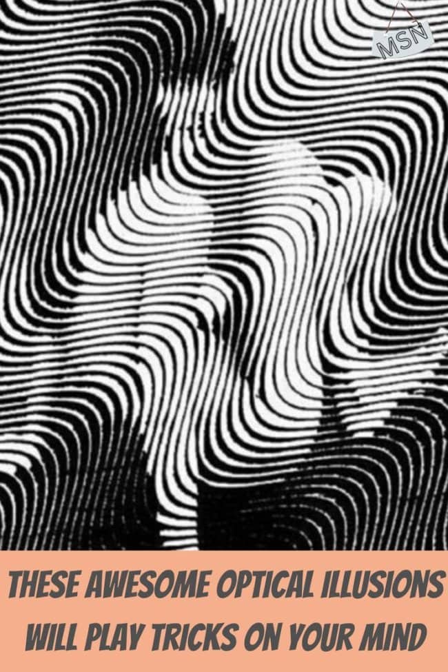 A wavy black and white optical line art pattern hiding a silhouette profile of two people.