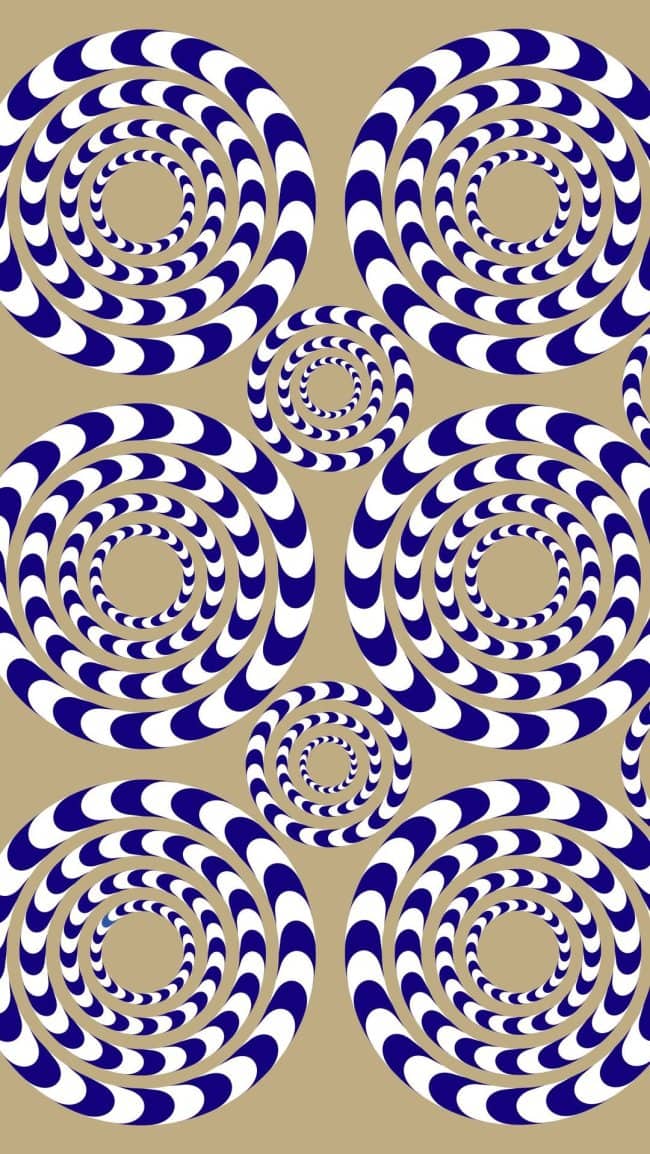 A pattern of blue and white concentric circles on a tan background that seem to spin.