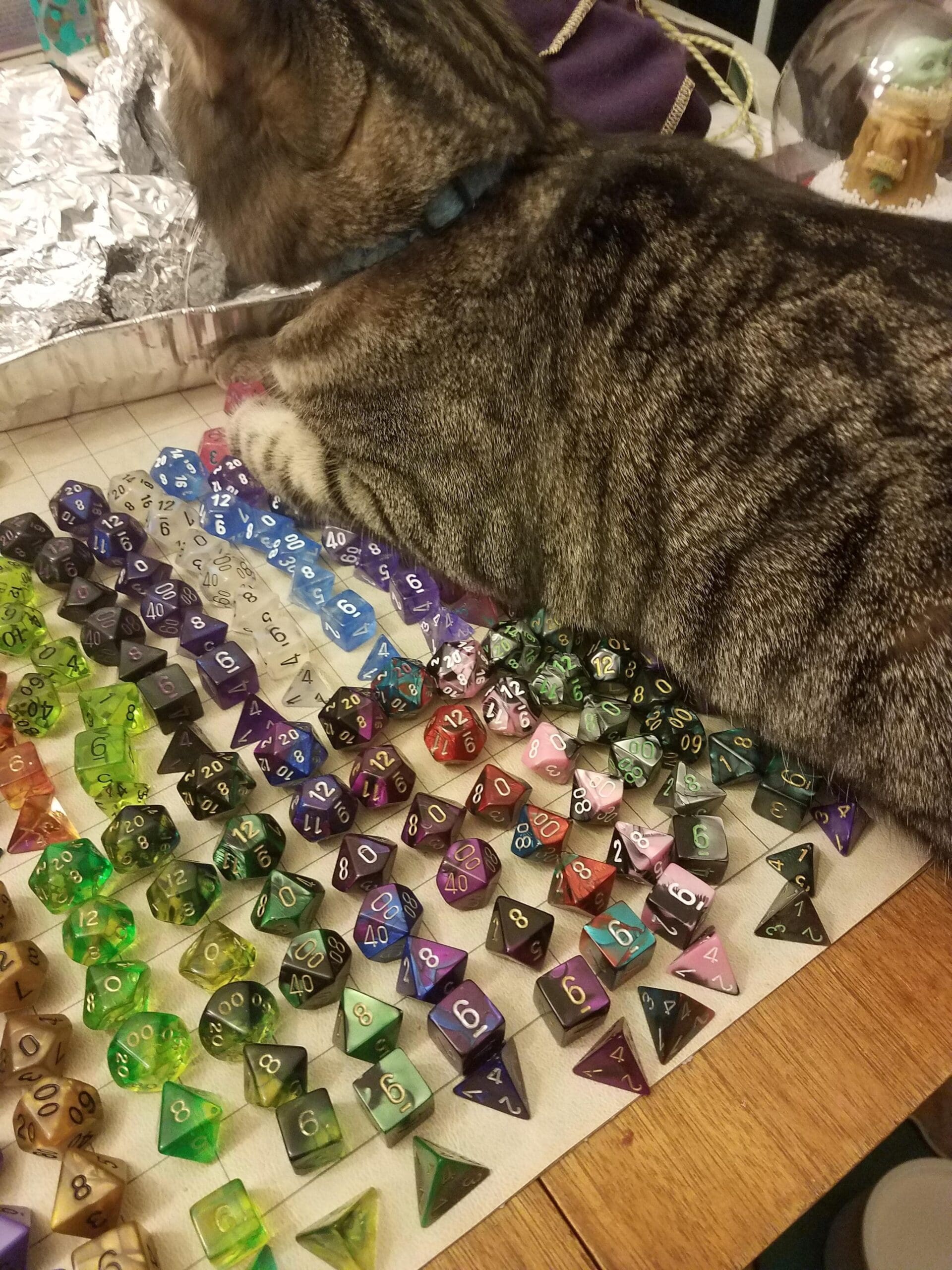 gorgeous dnd meme photo displays a real-life cat interrupting a gaming setup to show off a massive dice hoard. A fluffy domestic tabby cat is seen lying down across a large gridded battle map, completely surrounding its paws and fur with an overwhelming, pristine layout of dozens of colorful, translucent polyhedral dice organized into tight rows.