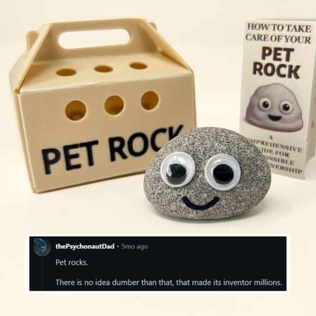 Classic Pet Rock product in cardboard box next to text about millions made from simple ideas.
