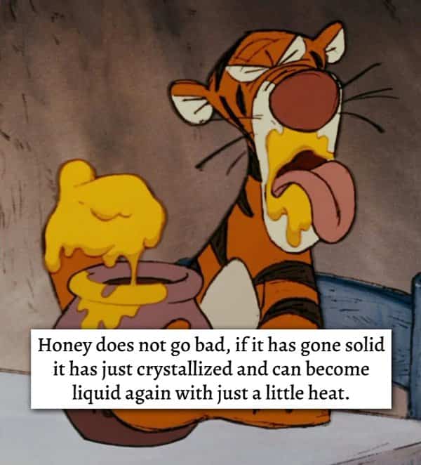 Tigger covered in honey with life hack advice text explaining honey never goes bad.