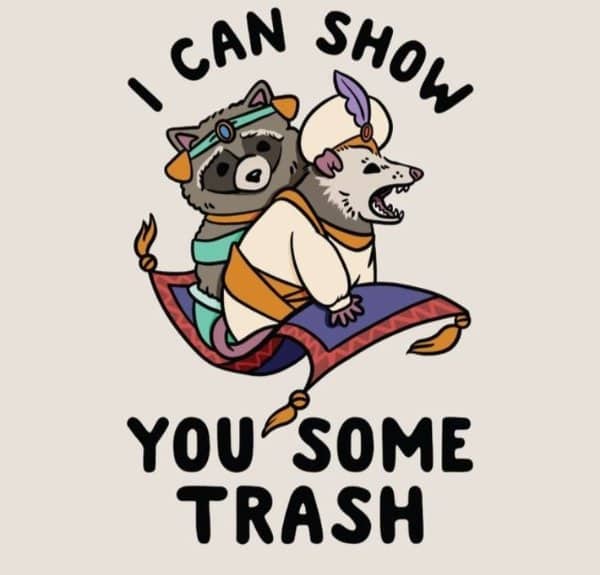 Cartoon of a raccoon and opossum dressed as Aladdin characters riding a magic flying carpet over trash.