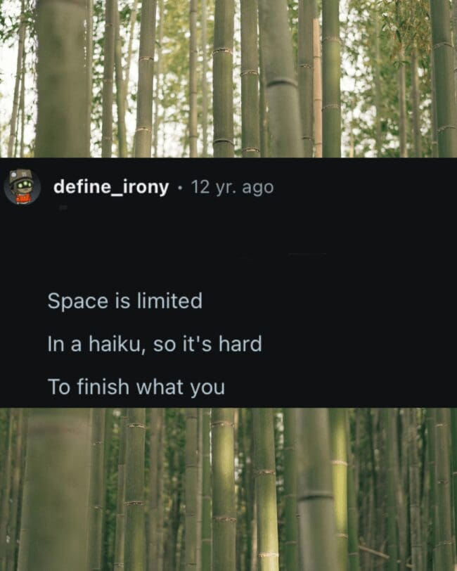 Reddit comment by user define_irony cut off mid-thought due to the character limits of haiku structures.