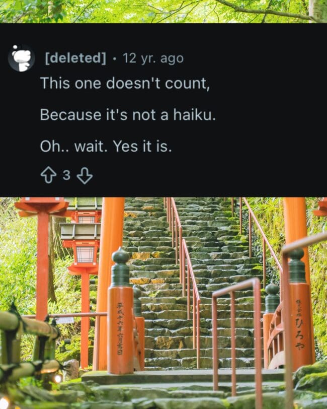 Deleted Reddit user comment figuring out that their non-traditional poem actually does count as a valid haiku.