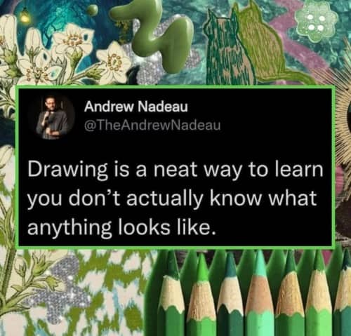 Screenshot of a tweet about how drawing reveals you do not know what things look like.