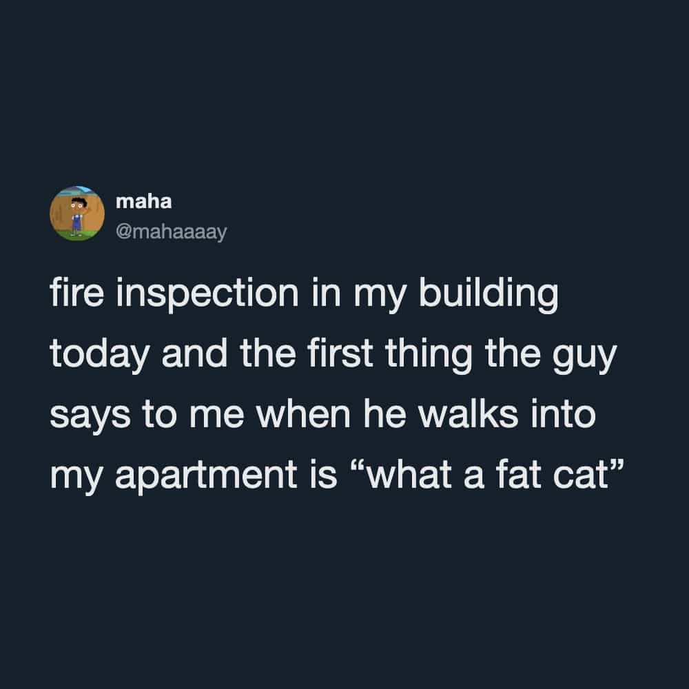 Funny memes tweet describing a blunt building inspector calling the resident's pet a fat cat.