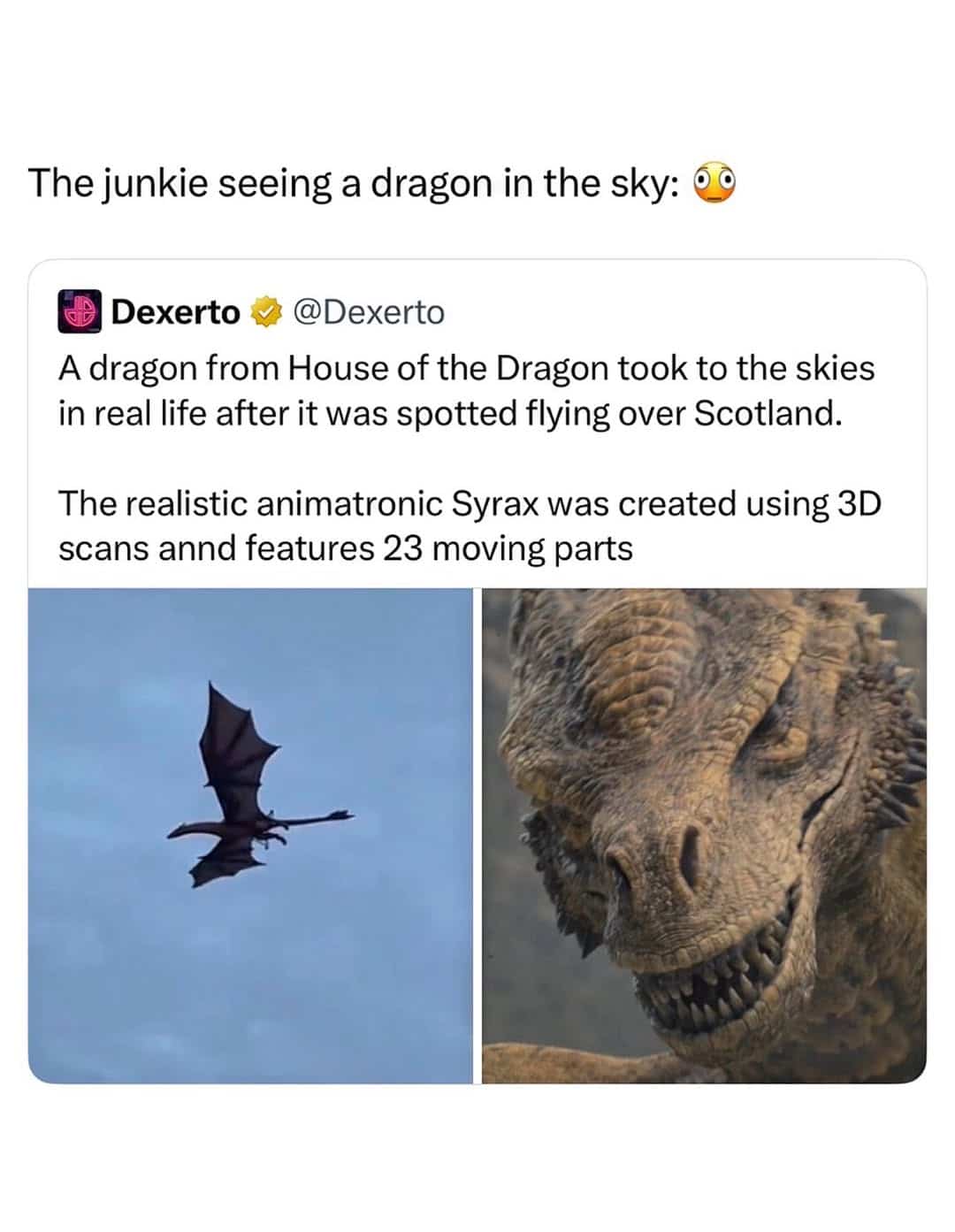 Funny memes post joking about someone seeing a real animatronic dragon flying overhead.