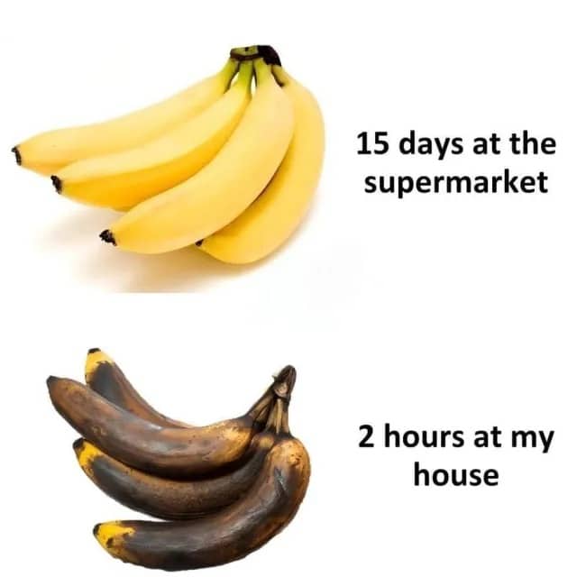 A comparison meme showing fresh yellow bananas next to brown overripe bananas.