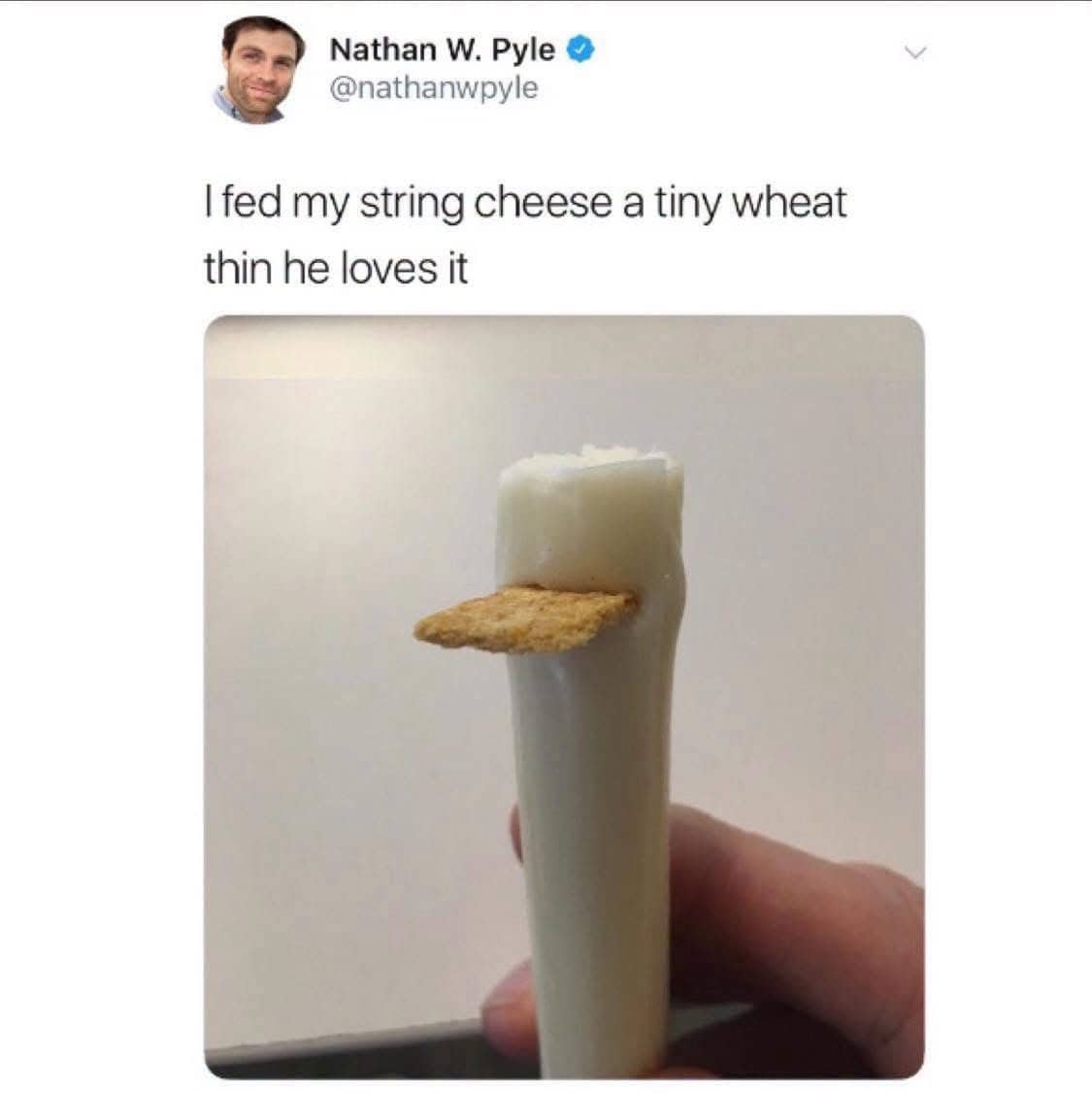 Tweet from Nathan Pyle showing a piece of string cheese holding a tiny wheat thin cracker.