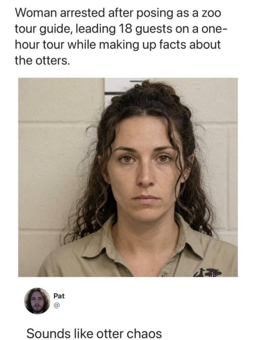 Fake news headline about a fake zoo tour guide with a punny comment below reading otter chaos.