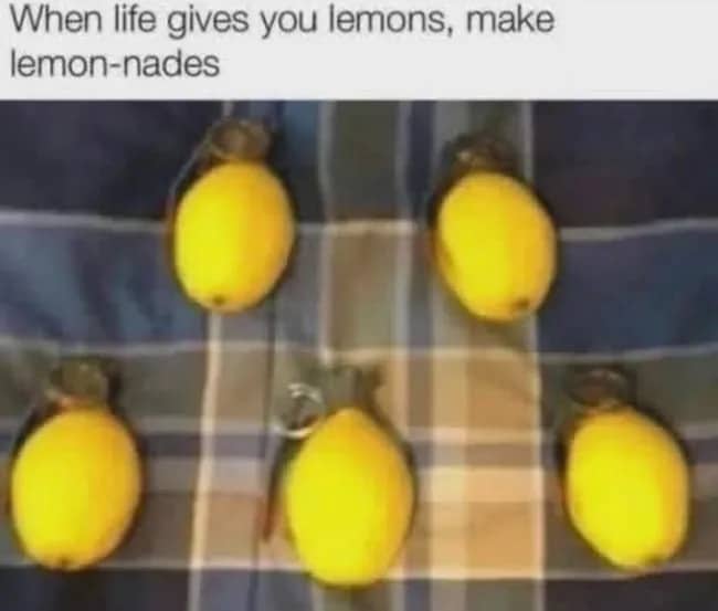 Pun meme showing lemons with grenade pins attached labeled as lemon-nades on plaid fabric.