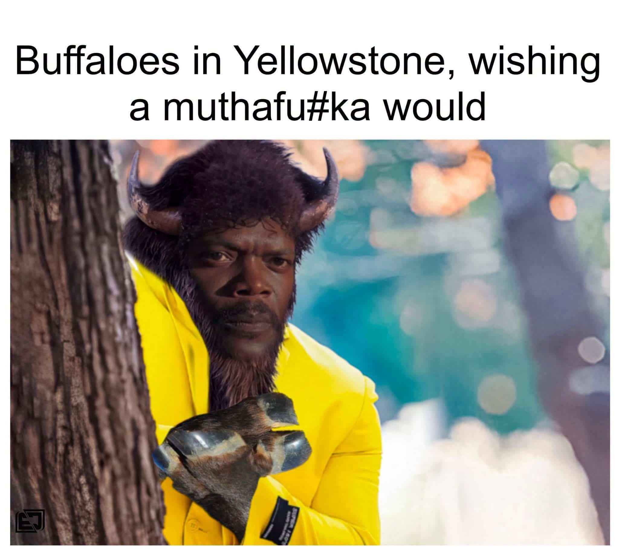 Funny animal meme photoshopping actor Samuel L Jackson as a tough Yellowstone buffalo hiding behind a tree.