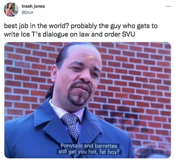 Funny meme featuring Ice-T in Law and Order SVU with a humorous quote caption.