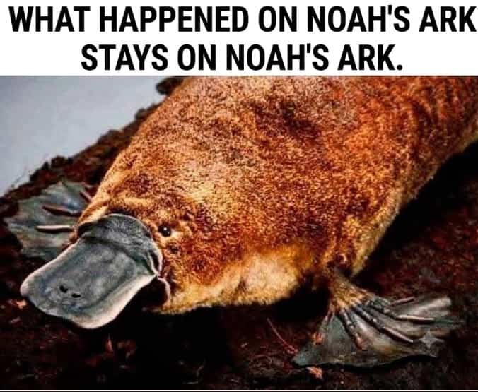 Close up photo of a duck-billed platypus with Noah's Ark joke text above.