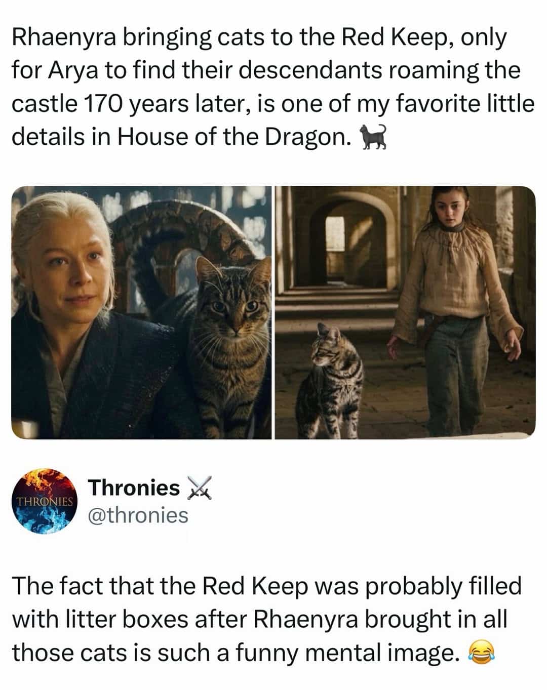 House of the Dragon and Game of Thrones cat continuity joke funny meme.