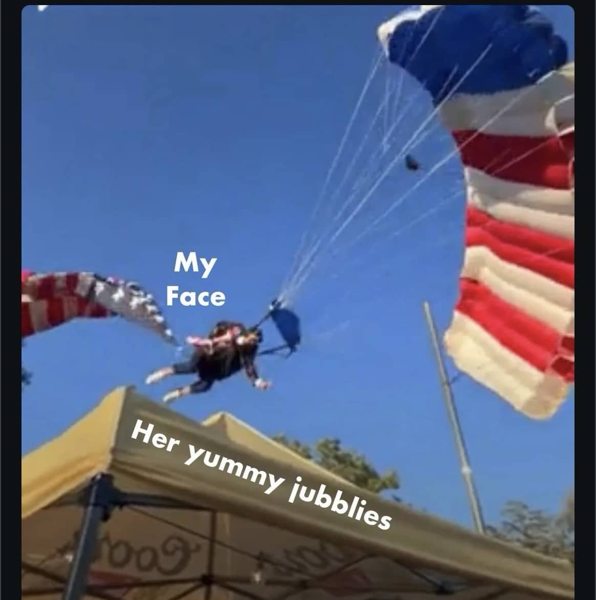 Skydiving meme depicting a person crashing into a canopy with text regarding an attraction to someone's features.