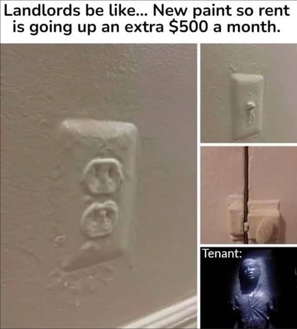 Landlord special paint job meme showing outlets painted over next to Han Solo frozen in carbonite.