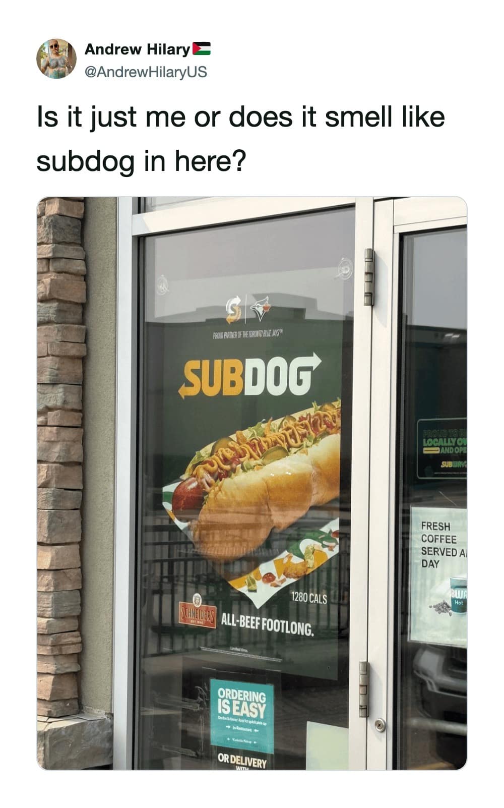 An entry in this meme dump features a photo of a Subway store front advertising a footlong hot dog called the Subdog, playing on the classic "updog" joke format.