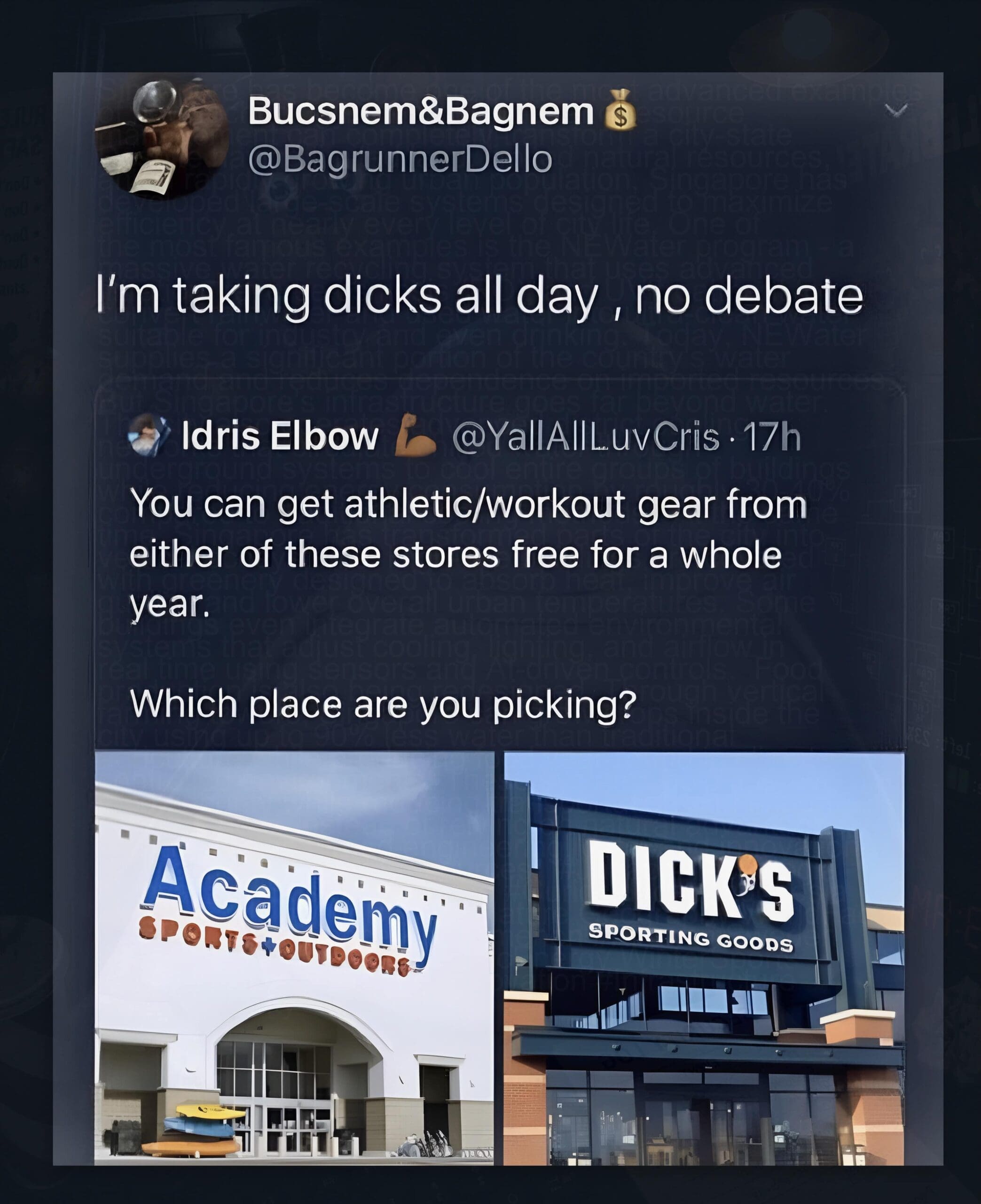 This hilariously unhinged meme dump screenshot documents a viral Twitter thread centered on sports apparel retail choices. In response to an athletic gear giveaway poll comparing Academy Sports and Dick's Sporting Goods, a user named Bucsnem&Bagnem drops an accidental, intensely worded double entendre: "I'm taking dicks all day , no debate."