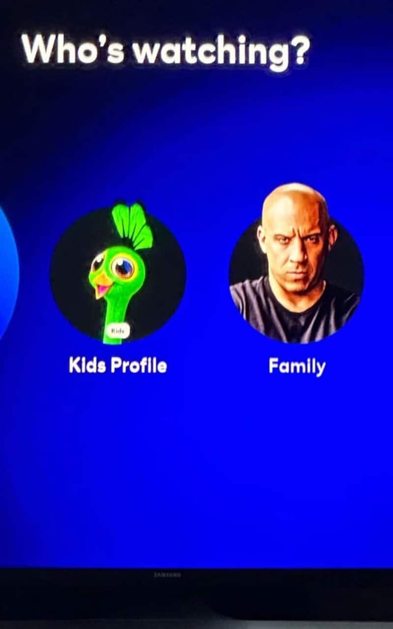 A pop-culture streaming UI screenshot in this meme dump shows a "Who's watching?" profile selection screen where the "Family" profile icon is an intensely aggressive photo of Vin Diesel.